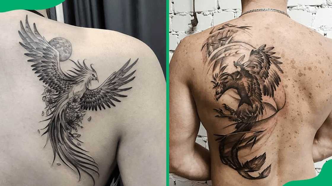 Black phoenix tattoo designs Black phoenix tattoo designs