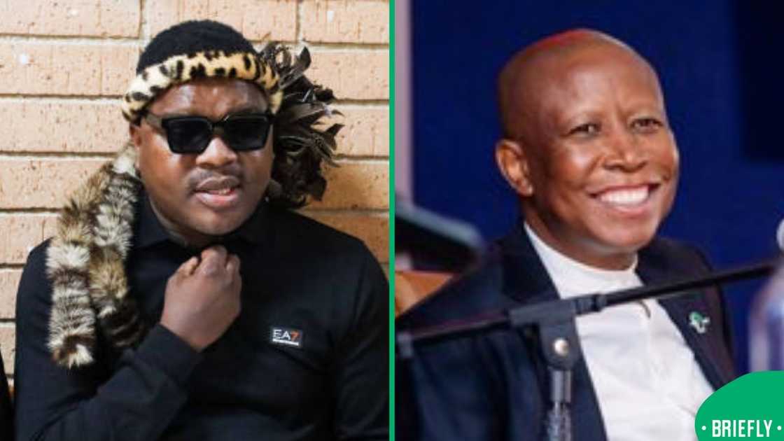 Ngizwe Mchunu and Julius Malema