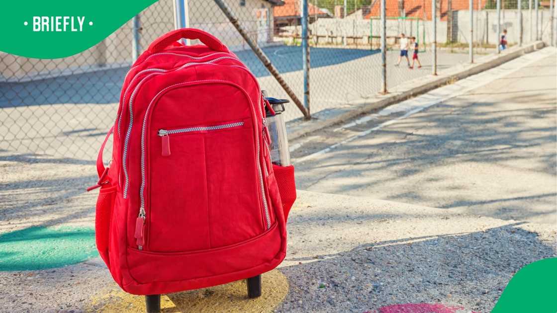 A stock image of a red school bag with a handle and wheels A stock image of a red school bag with a handle and wheels