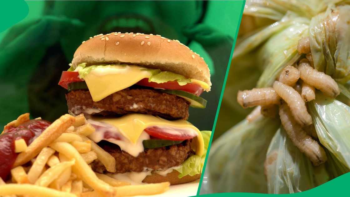 Netizens disgusted after woman films half eaten burger with maggots