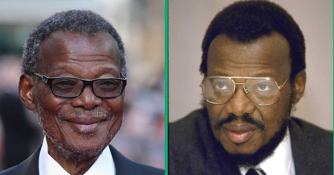 Mangosuthu Buthelezi lineage explored