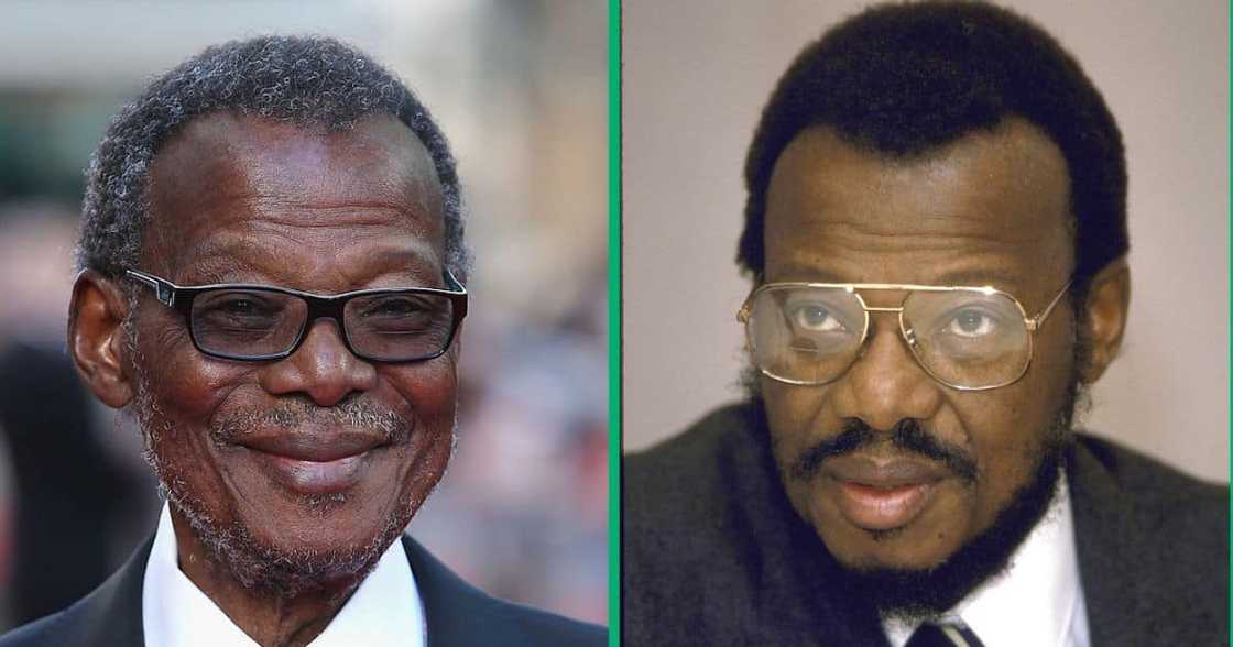 Mangosuthu Buthelezi lineage explored Mangosuthu Buthelezi lineage explored