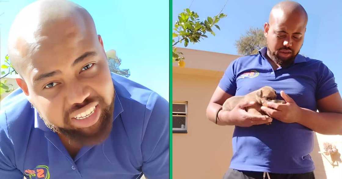 A TikTok video shows a man trying to feed his new puppy named Thabo A TikTok video shows a man trying to feed his new puppy named Thabo