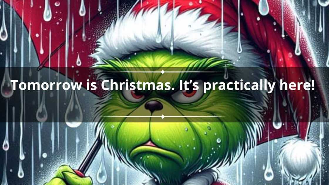 Grinch on a rainy day