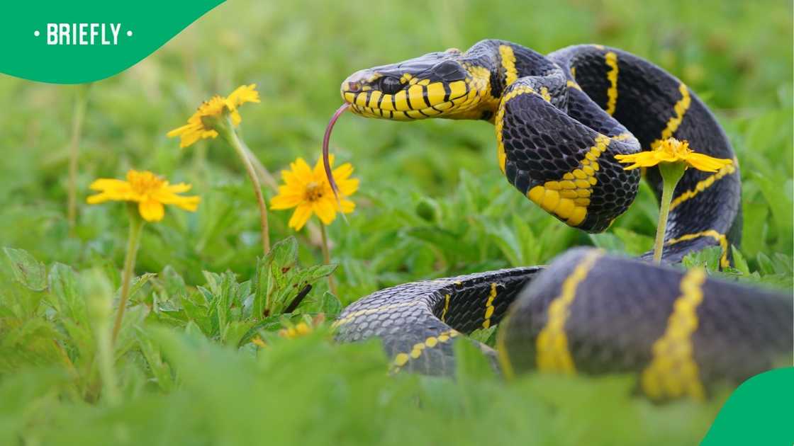 A post went viral. A post went viral.