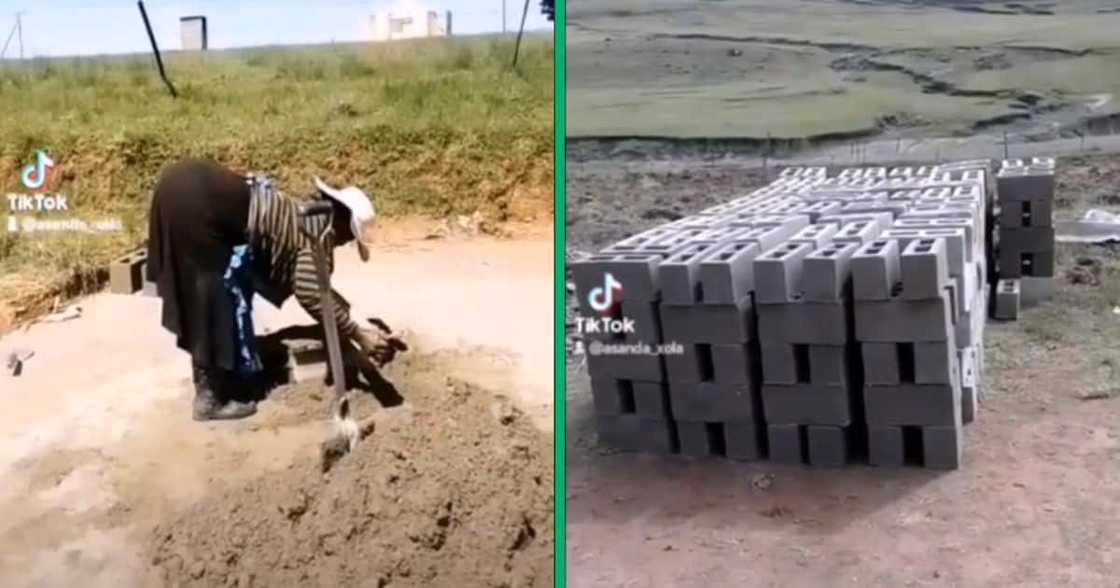 Gogo building house Gogo building house