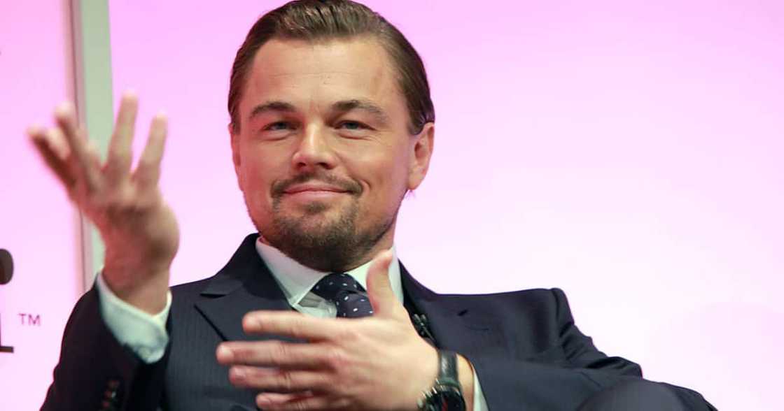 Leonardo ‘TreeCaprio’: New Species of Plant Named After the Actor & Climate Activist Leonardo ‘TreeCaprio’: New Species of Plant Named After the Actor & Climate Activist