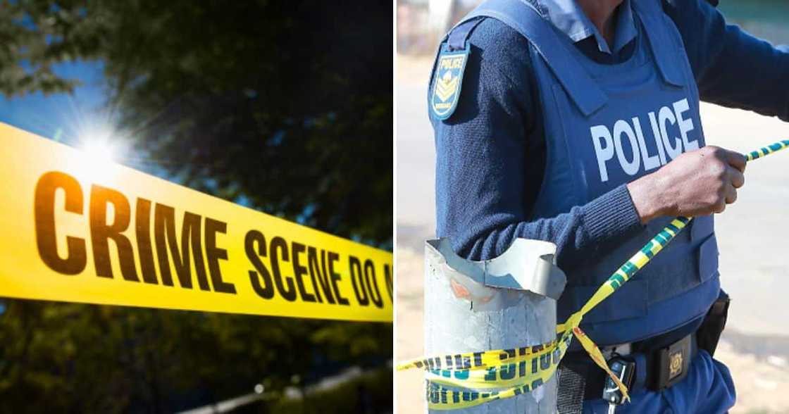 woman kills twin sister woman kills twin sister