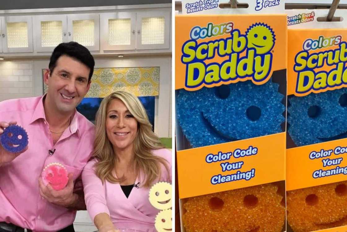 scrub daddy worth