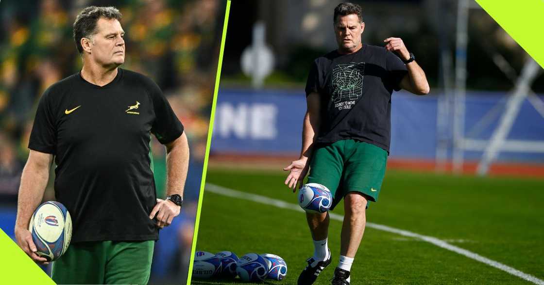 Coach Rassie Erasmus is excited to face Portugal. Coach Rassie Erasmus is excited to face Portugal.