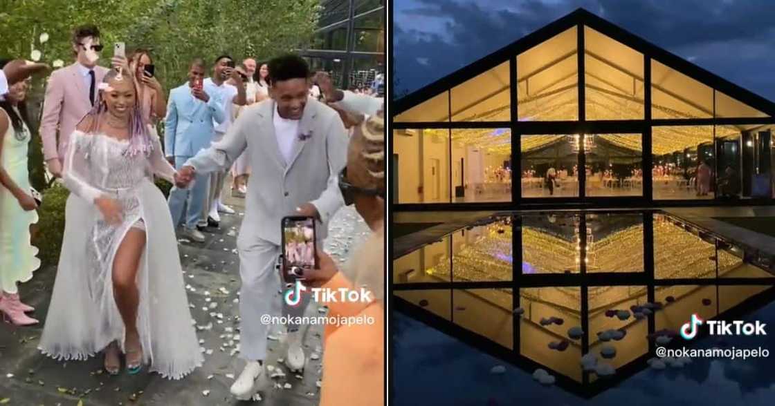 SA white wedding goes TikTok viral SA white wedding goes TikTok viral