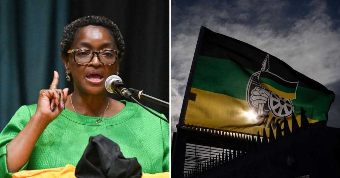 Bathabile Dlamini has treatened to sue the ANC