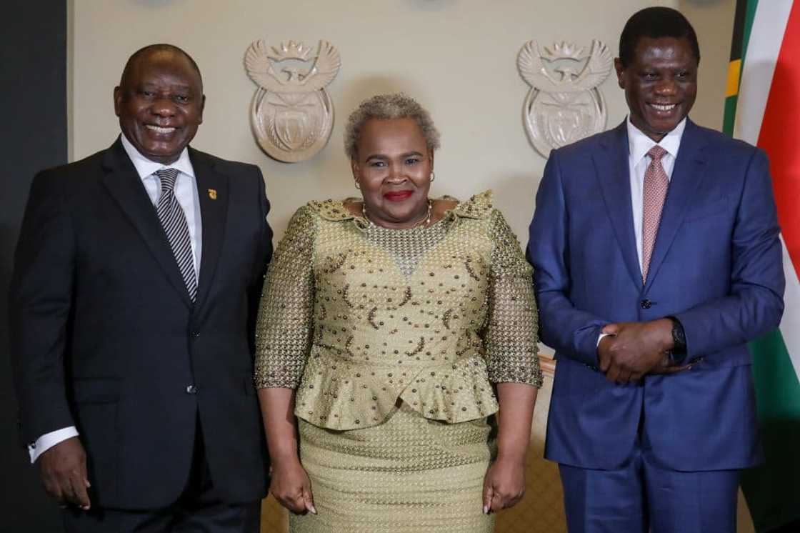 Sisisi Tolashe's career and party Sisisi Tolashe's career and party
