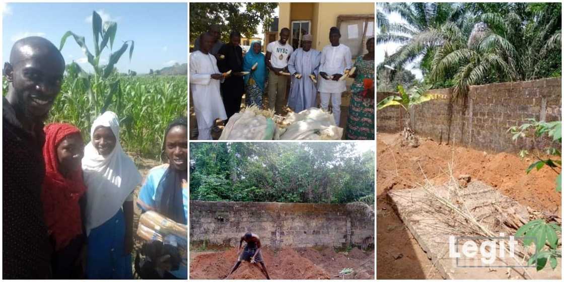 Chiemezie Ezeani: Another Nigerian Graduate who Has Taken Farming as a Full Time Occupation, Shares His Story Chiemezie Ezeani: Another Nigerian Graduate who Has Taken Farming as a Full Time Occupation, Shares His Story