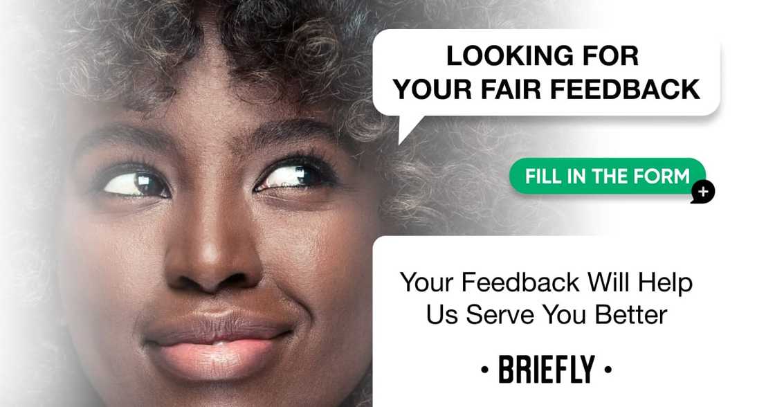 Give Briefly News your honest feedback in a questionnaire