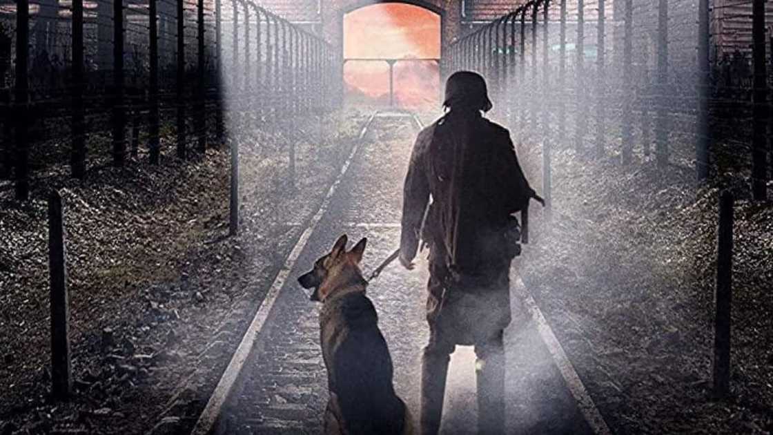 Nazi movies Nazi movies