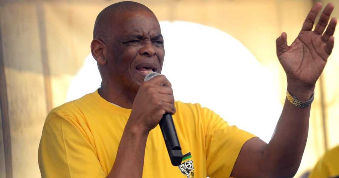 Ace Magashule, plans, contest, ANC December conference, presidency, step aside rule, court, suspended