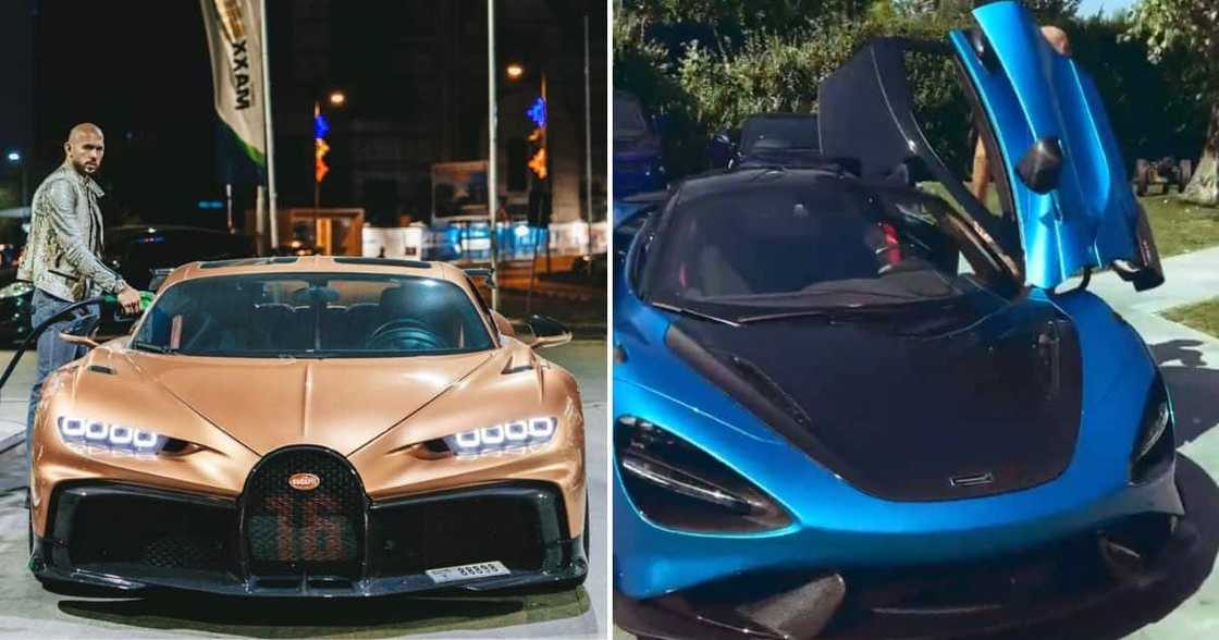 Andrew Tate Andrew Tate