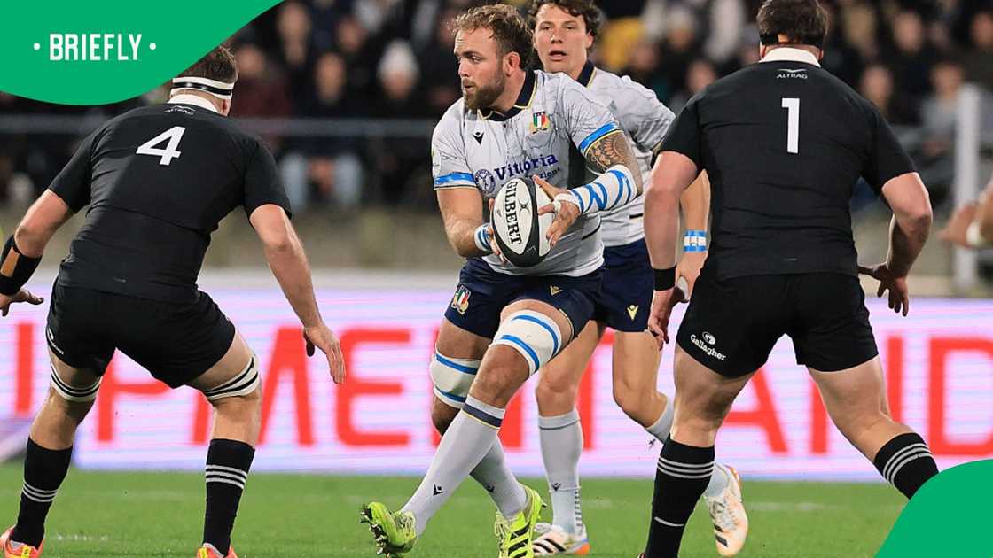 Niccolo Cannone Niccolo Cannone