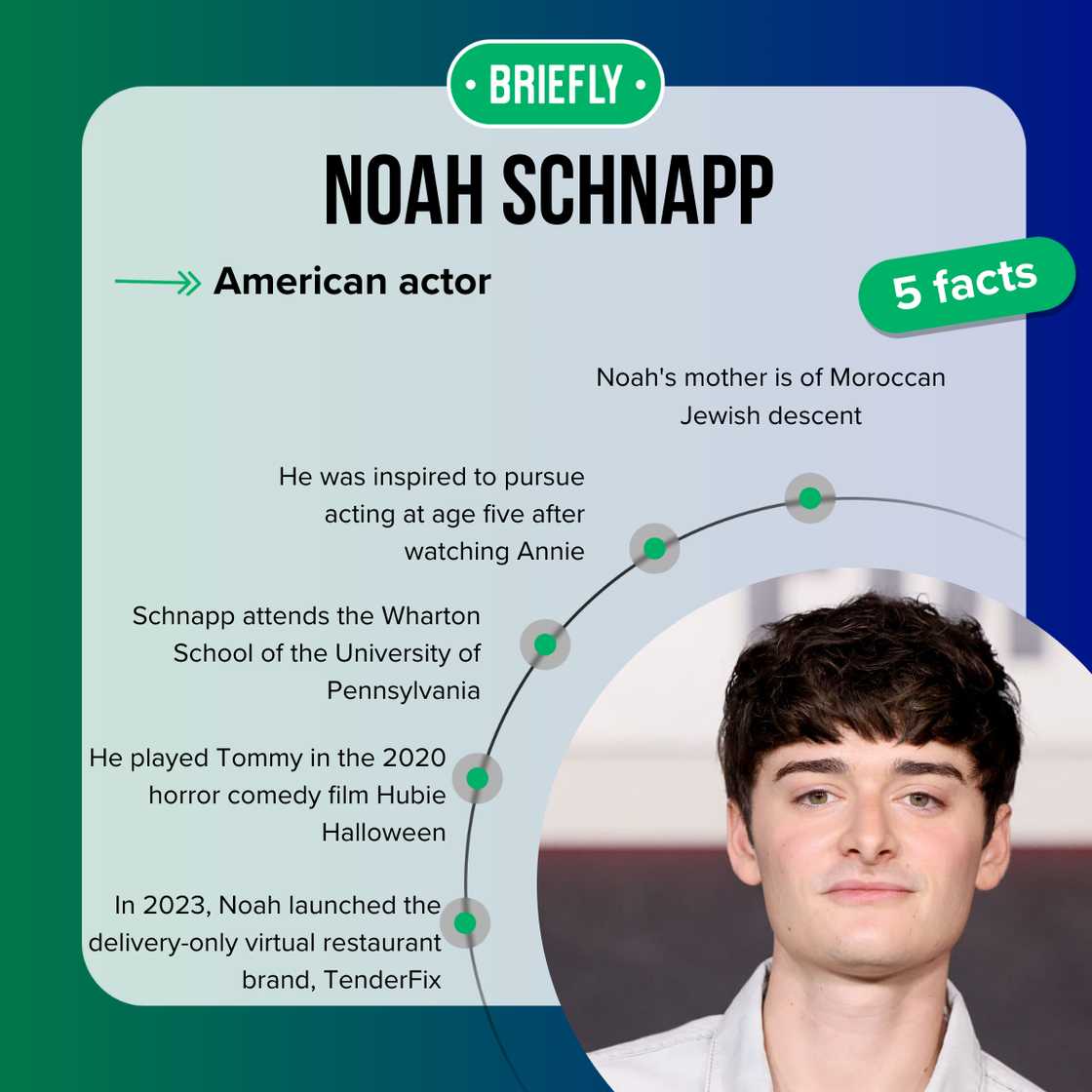 Noah Schnapp's facts Noah Schnapp's facts