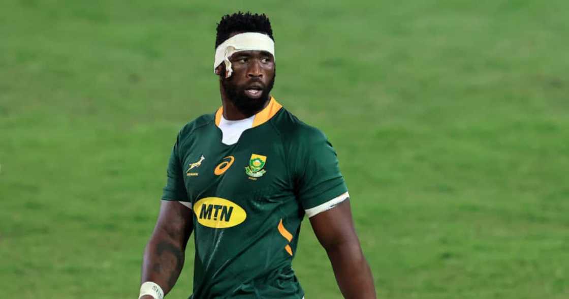 Siya Kolisi, Springboks, Lions series, Covid-19