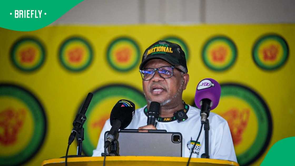 ANC Secretary-General Fikile Mbalula was roasted on social media