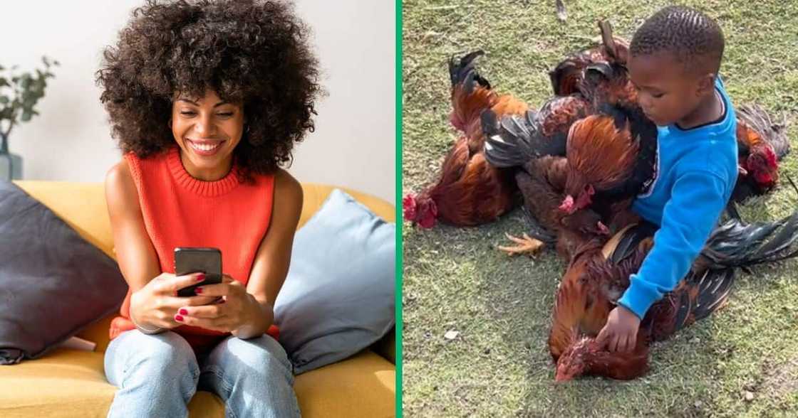 Boy chilling with chickens in video Boy chilling with chickens in video