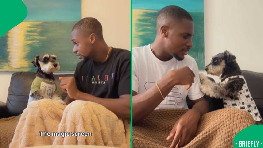 On the right showed the close bond Oga and Duke has On the right showed the close bond Oga and Duke has