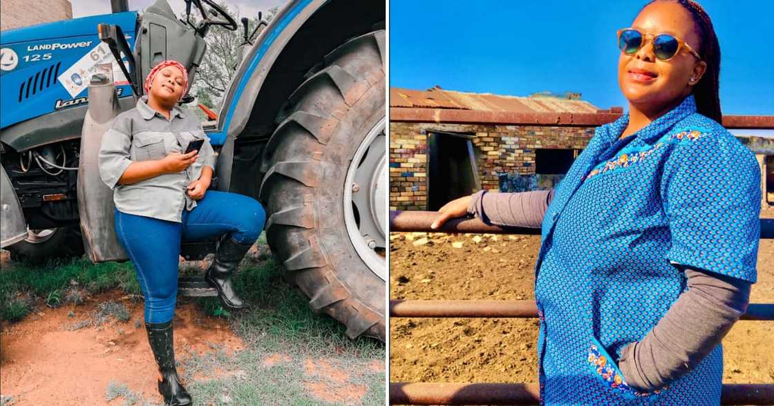 A heartbroken farmer woke up to a stolen tractor and Mzansi peeps came to her aid to support her. A heartbroken farmer woke up to a stolen tractor and Mzansi peeps came to her aid to support her.