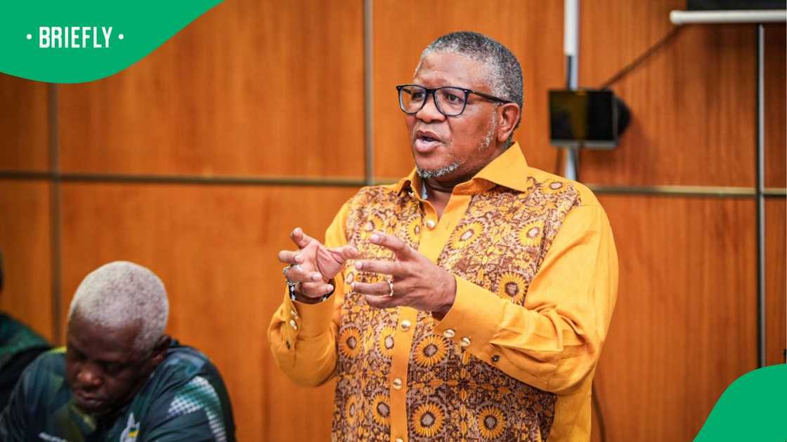 Mbalula says these claims have gravely injured his dignity and reputation Mbalula says these claims have gravely injured his dignity and reputation