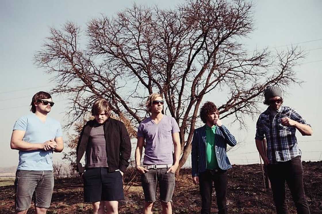 South African rock bands South African rock bands