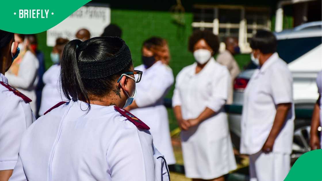 A group of South African nurses. A group of South African nurses.