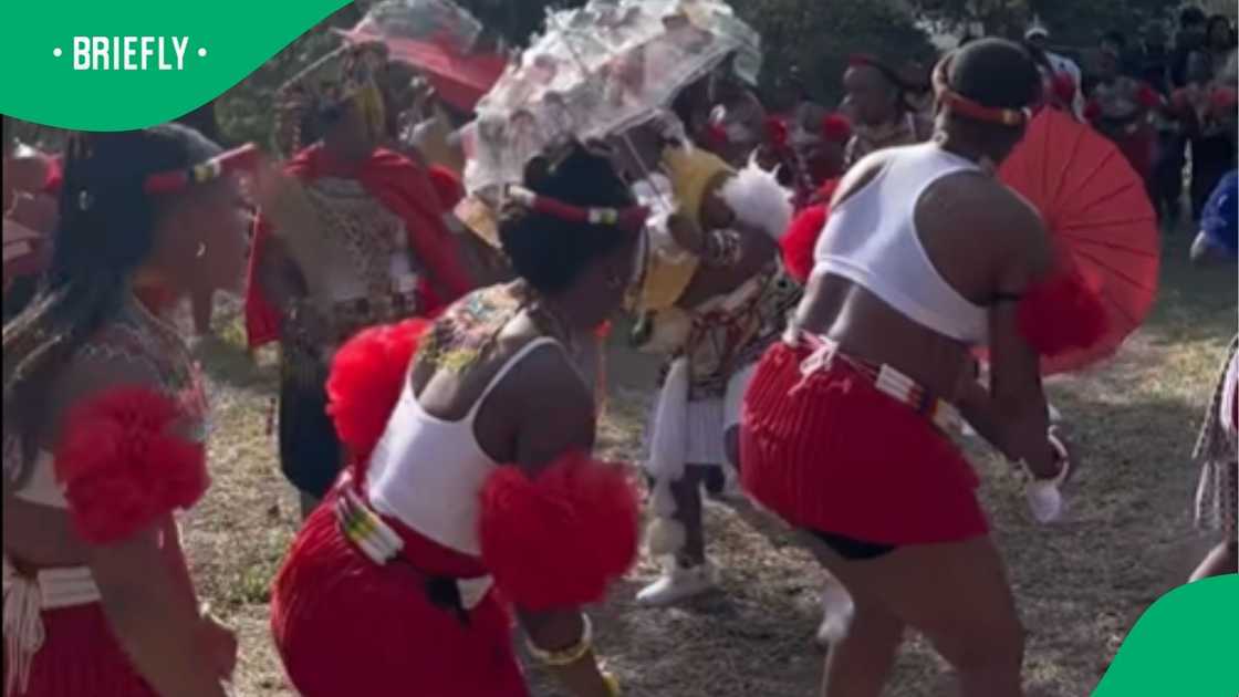 A video went viral on Instagram. A video went viral on Instagram.
