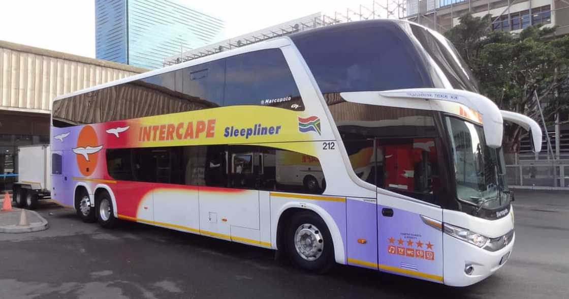 Taxi, Bus, Intercape, Crime, murder