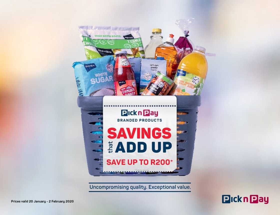 pick n pay catalogue