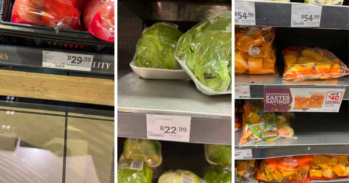 Tomatoes, Lettuce, Butternut, Pick n Pay Tomatoes, Lettuce, Butternut, Pick n Pay