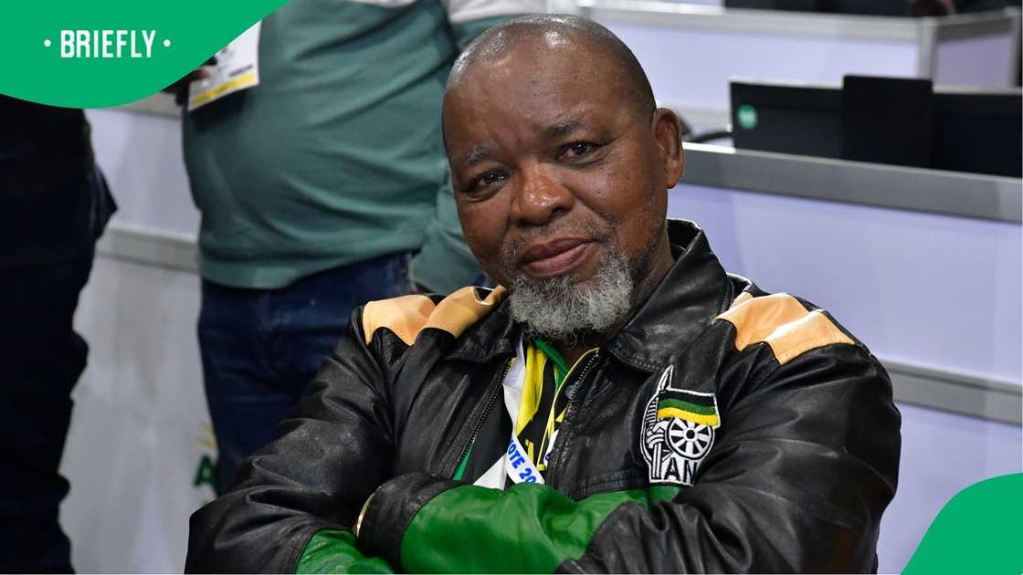 Gwede Mantashe reacted to Donald Trump's threats