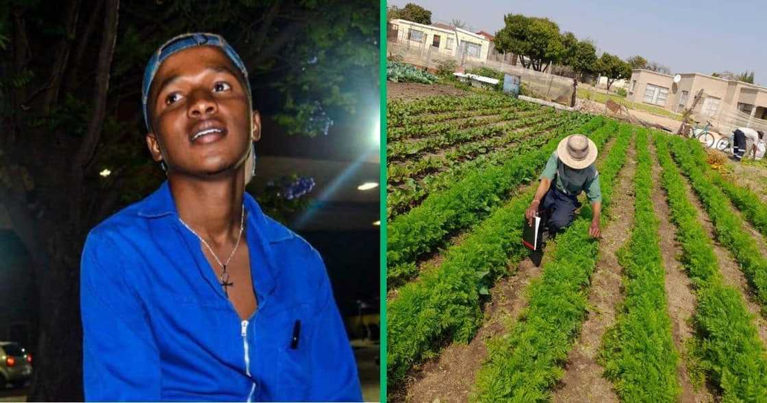 Mpumalanga farmer shares his journey Mpumalanga farmer shares his journey