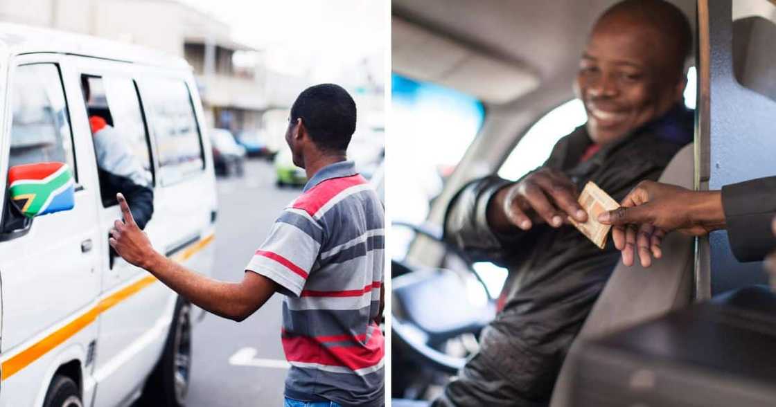 South Africans, Taxi Drivers, taxi, public transports, mzansi, shot left South Africans, Taxi Drivers, taxi, public transports, mzansi, shot left