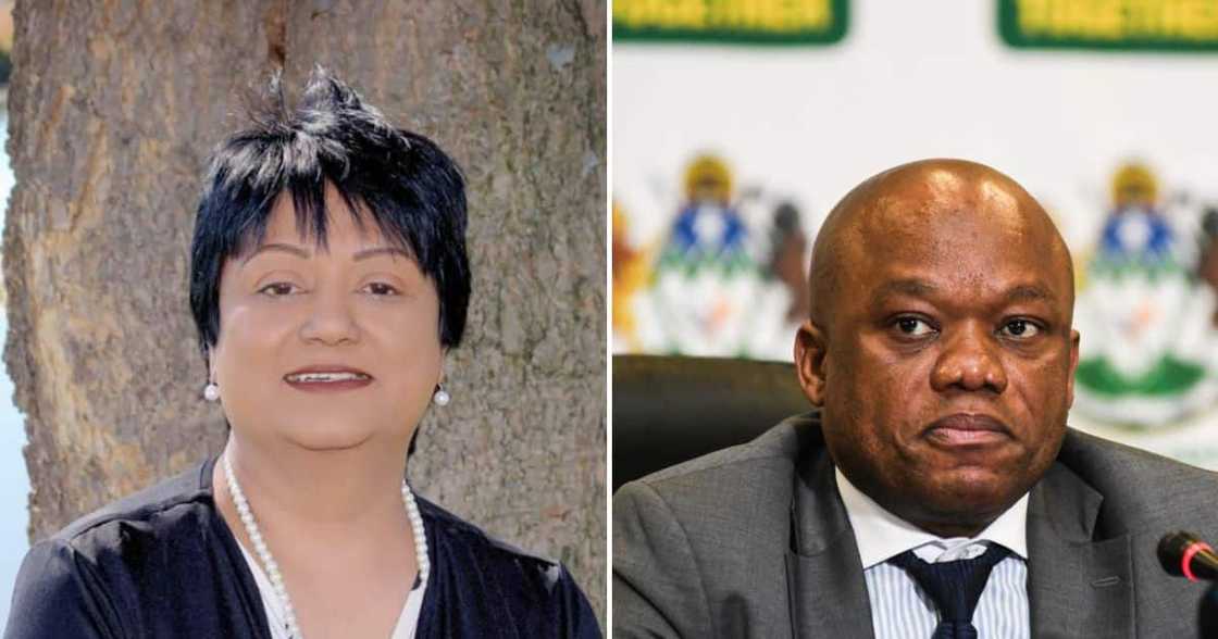 Sihle Zikalala wants Connie Hariram investigated