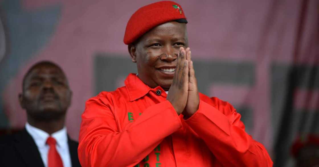 Julius Malema, Tender fraud, Hawks investigation, Marshal Dlamini Julius Malema, Tender fraud, Hawks investigation, Marshal Dlamini