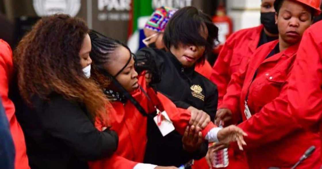 Parliament, EFF, MPs, gender-based violence, allegations, harassment, Parliament security personnel, budget vote Parliament, EFF, MPs, gender-based violence, allegations, harassment, Parliament security personnel, budget vote