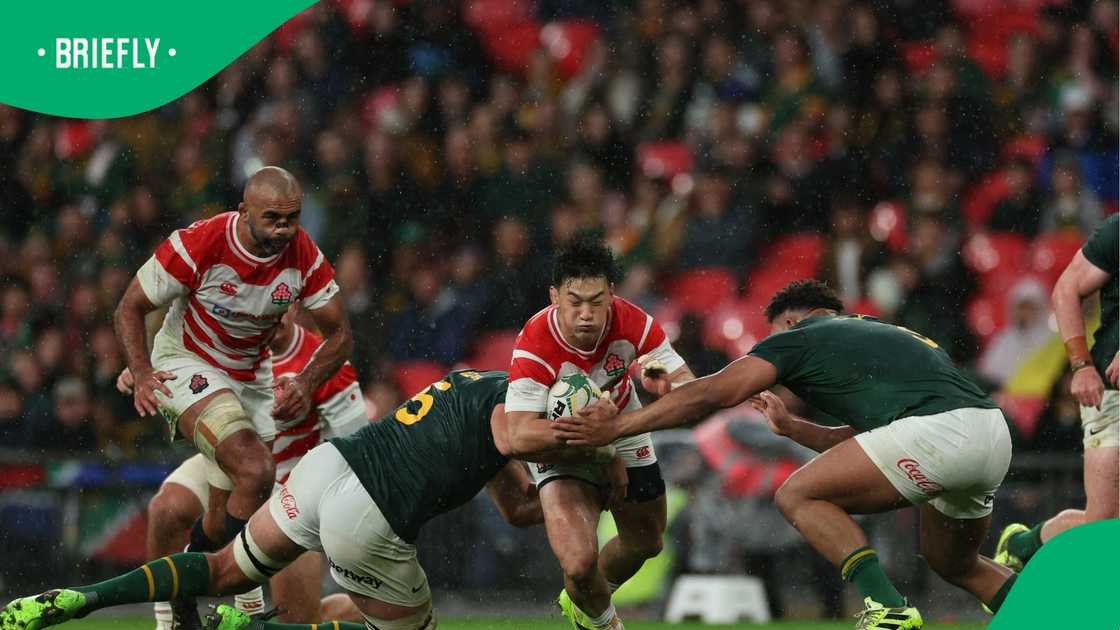 Zachary Porthen, Springboks, South Africa, Japan