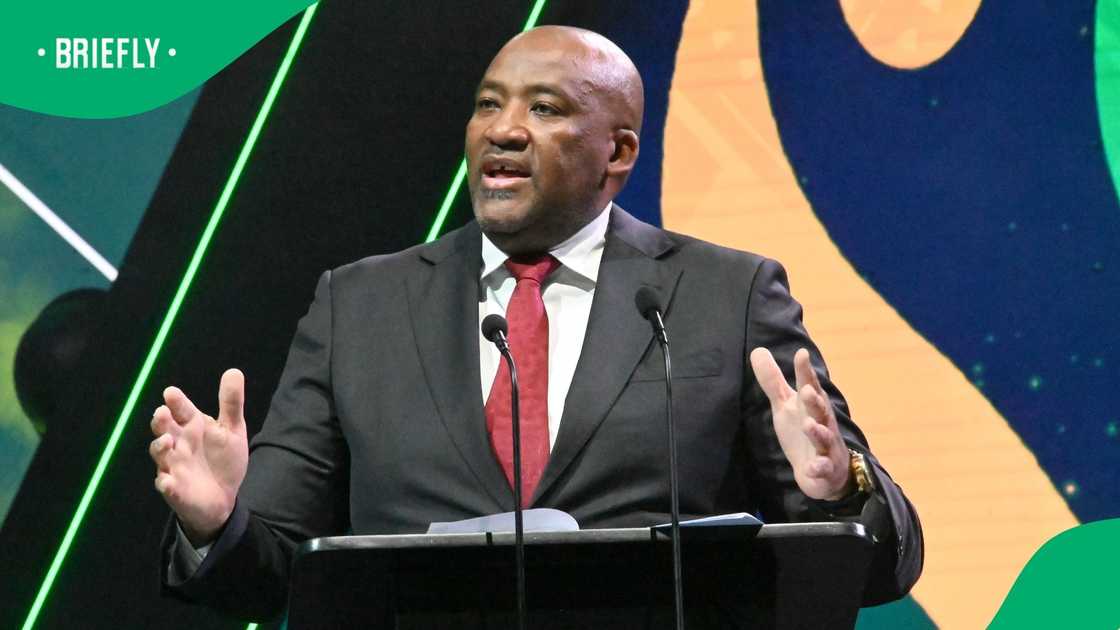 The President of the Patriotic Alliance, Gayton McKenzie, said that the party will withdraw from the GNU