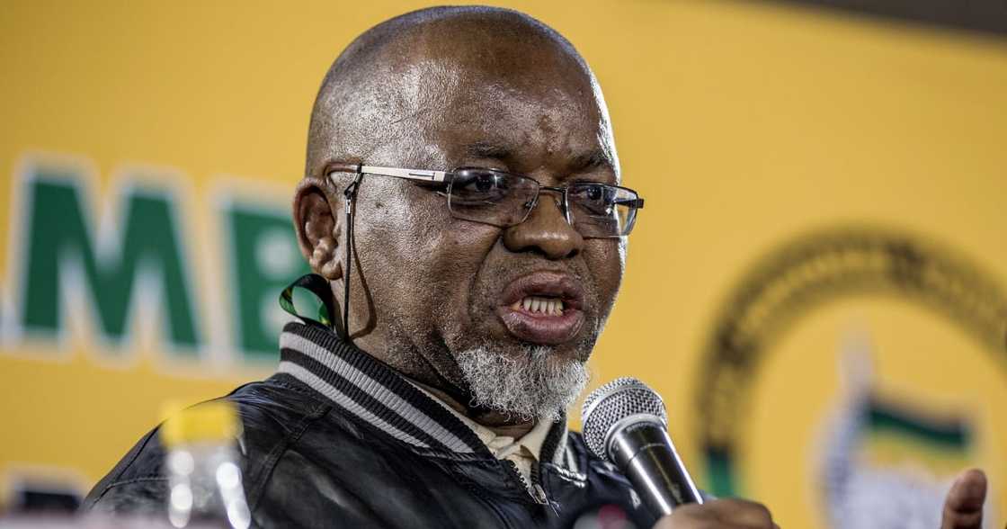 Minister of Energy and Mineral Resources, Gwede Mantshe Says Fuel levies, E-tolls, Scrapped, South Africa, Gauteng Minister of Energy and Mineral Resources, Gwede Mantshe Says Fuel levies, E-tolls, Scrapped, South Africa, Gauteng