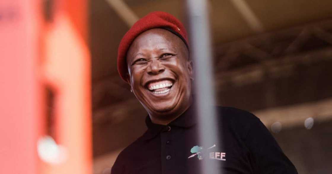 Julius Malema, EFF, Economic Freedom Fighters, politics, TikTok, viral video, South Africa Julius Malema, EFF, Economic Freedom Fighters, politics, TikTok, viral video, South Africa