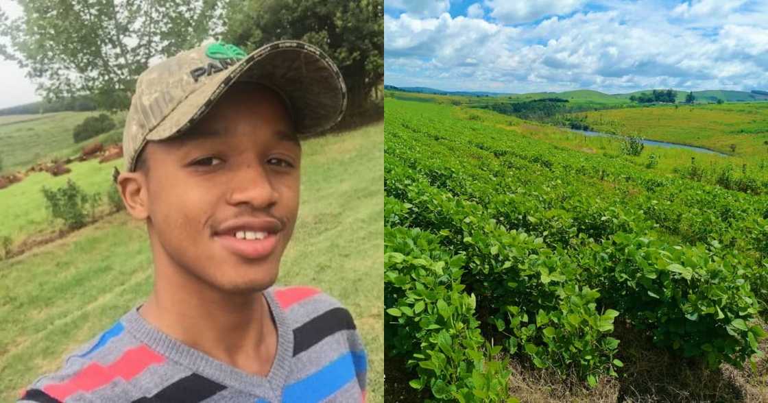 "Blood and Sweat": Young Farmer Celebrates 40 Hectare Land Investment "Blood and Sweat": Young Farmer Celebrates 40 Hectare Land Investment