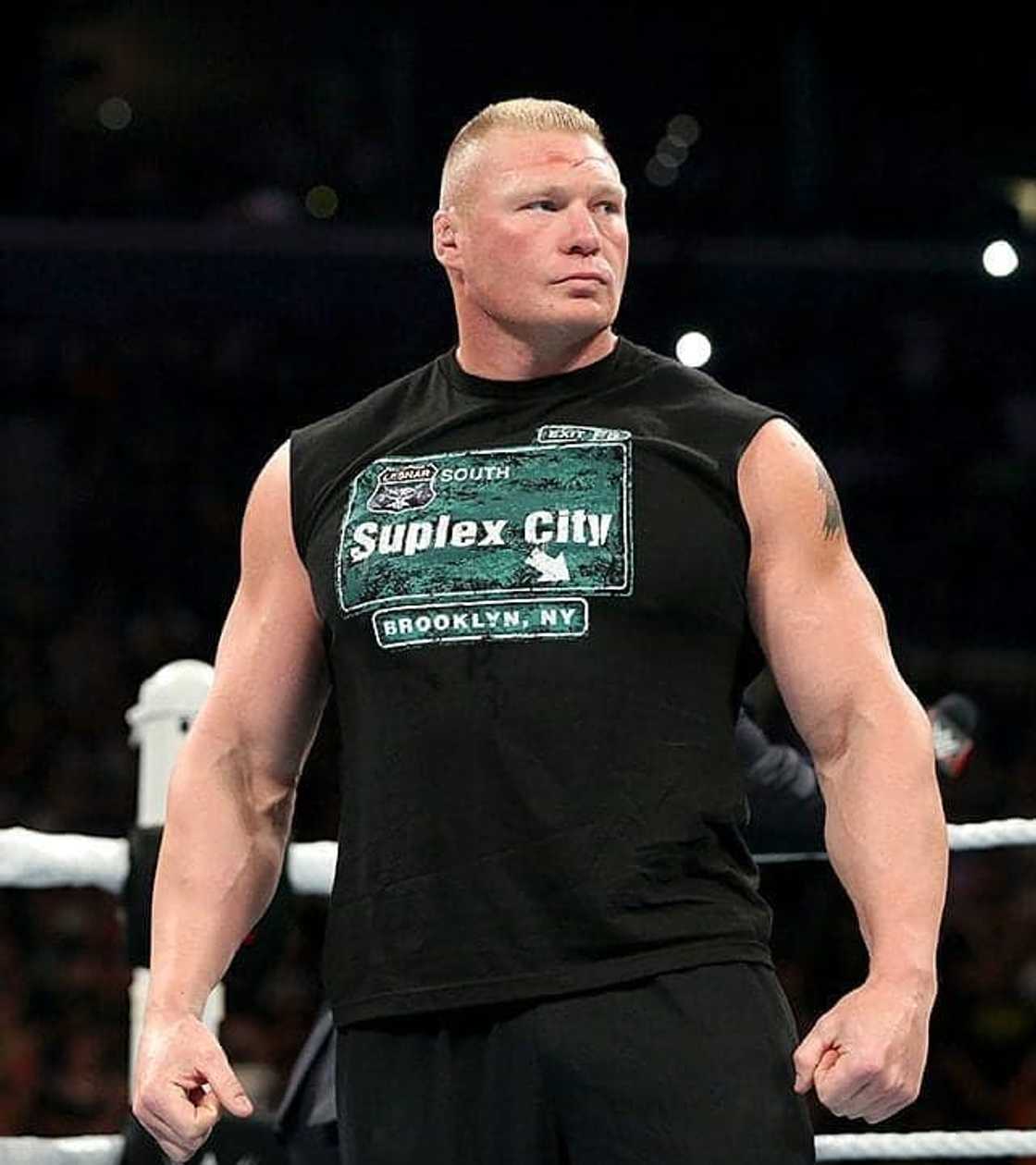 Brock Lesnar Brock Lesnar