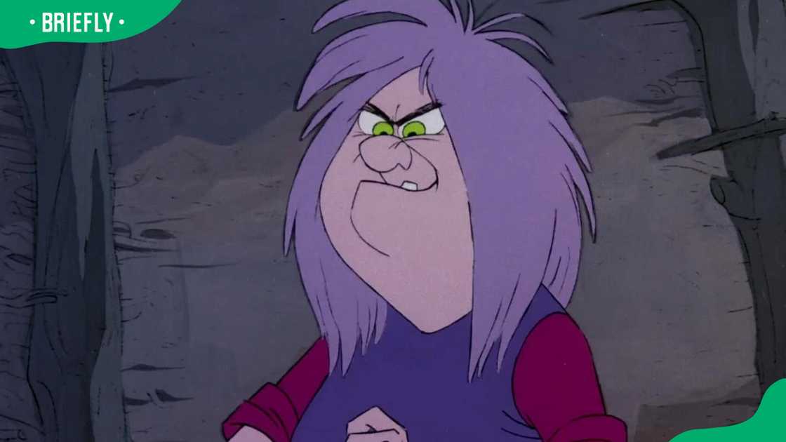 Madam Mim from The Sword in the Stone.