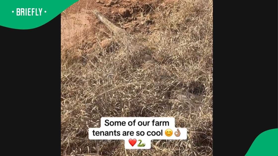 A video went viral. A video went viral.